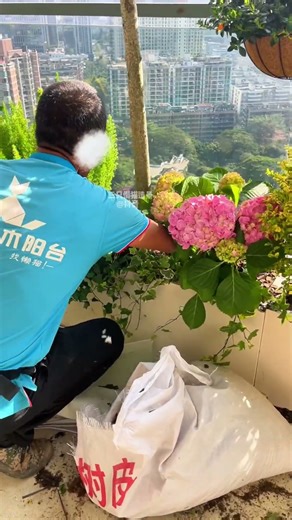 Creating a circular garden landscape on the high-rise balcony