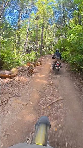 Lost Coast Backroads Motorcycle Ride! Rugged Gravel & Ocean Views