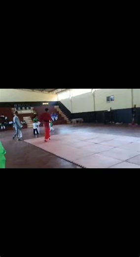 32K views · 1K reactions | École de kung-fu Simple fa efficace  | Sifu Elisaotra | Facebook