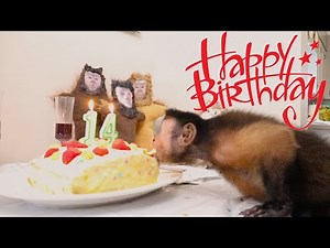 Happy Birthday MonkeyBoo!