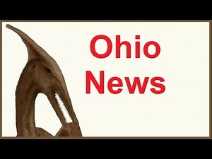 A Pterodactyl Jarred us at 2 a.m. in Oct 2025