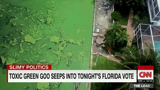 Toxic green slime seeps into tonight's Florida primary