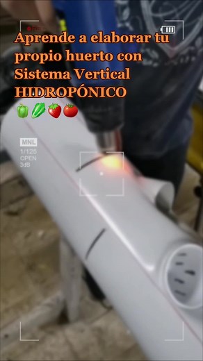 Hidroponia on TikTok