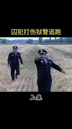 #好剧不私藏 大漠高墙 #因为一个片段看了整部剧