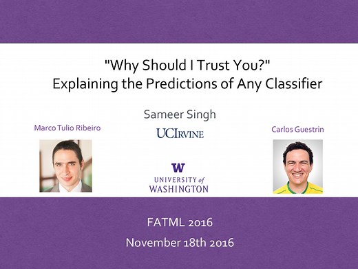 'Why Should I Trust You?' Explaining the Predictions of Any Classifier