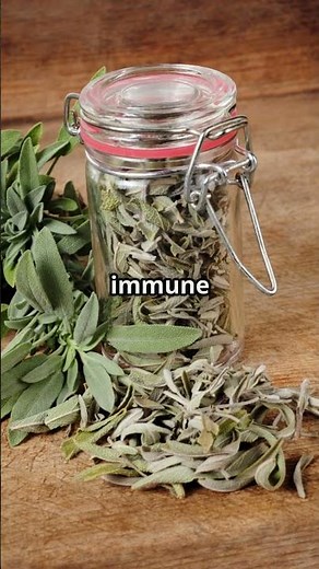 Discover the Magic of Sage The Herb of Wisdom and Wellness!