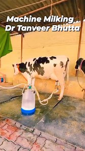 3.8K views · 31 reactions | Machine Milking #milking #machine #MachineMilking #foryouシpage #foryoupagereels #viralreelsfacebook #foryoupageシ #ultrasoundcourse #ultrasoundscan #viraforyou #ultrasoundmachine #goatfarming #ultrasoundtraining #dairyfarming #cattlefarming #cowfarming | Dr-Muhammad Tanveer | Facebook