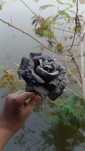 Black rose tissue making # short #viral# video# my pretty family