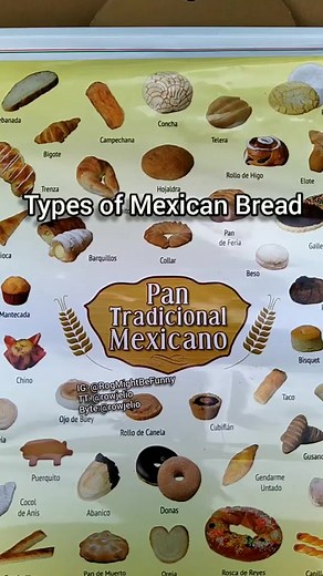 Exploring Different Types of Mexican Bread: A Visual Guide