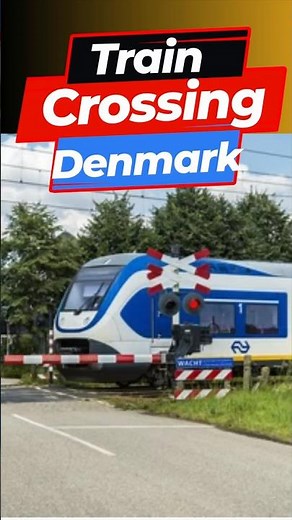 Train Crossing in Denmark 🇩🇰 | High-Speed European Rail Adventure | Railway Sounds & Scenic Views