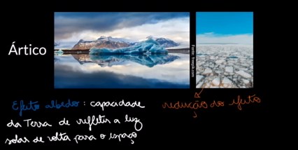 Phylum Platyhelminthes