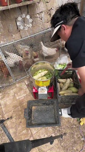 Smart Chicken Farming Setup | Must-Have Poultry Tools #vegetablechopper #freerangechickens