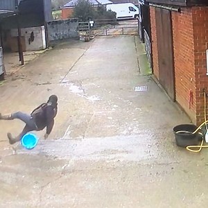 147M views · 243K reactions | CCTV misses nothing  | LADbible | Facebook