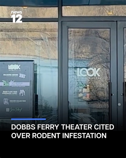 News 12 Westchester | HEALTH ALERT: A dead mouse and droppings were discovered at Look Dine-In Cinemas in Dobbs Ferry. Watch News 12 and check our IG stories for... | Instagram