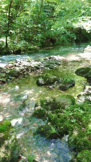【自然の音】癒される水の音、木漏れ日が差し込む川のせせらぎ、癒し、睡眠導入、リラックス、 River Sound/Nature Sounds#Shorts#nature#癒し#水の音
