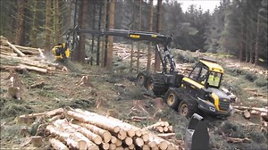 23K views · 313 reactions | A Ponsse Bear flexing its muscles | Forestmachinemagazine | Facebook