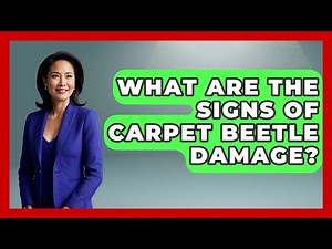 What Are The Signs Of Carpet Beetle Damage? - Insects and Invaders