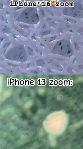 Zoom tutorial….