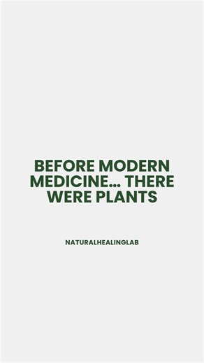 NATURAL HEALING LAB | Long before the rise of modern pharmaceuticals, traditional healing systems around the world relied on plants, roots, herbs, and fermented... | Instagram