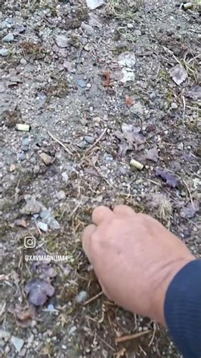 Le TSV, j'adore...#humour