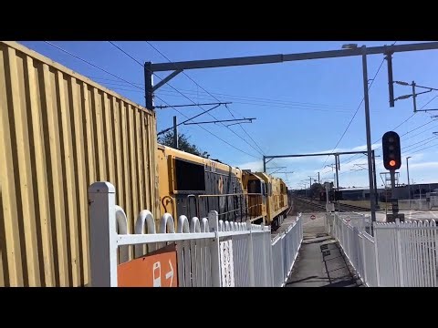Queensland Trains - Afternoon Peak at Sunshine