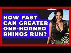 How Fast Can Greater One-Horned Rhinos Run? - The Wild Life Explorer