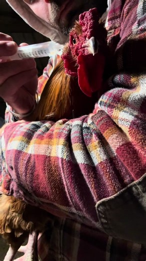 Ear Cleaning ASMR: Relaxing Earwax Removal Experience