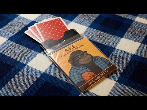 A.P.E.- A Perception Experiment by Craig Petty
