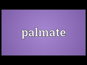 Palmate Meaning