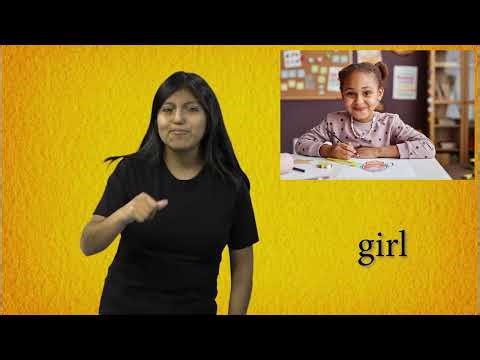 Bus Driver vocabulary - People