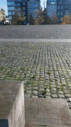 Ik dacht dat in plaast van parking er meer GROEN zou komen euuuu....waar dan ?? | Monique Hertleer