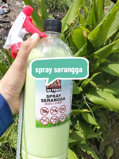 Organic Insect Spray for Pest Control