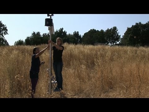 Rainwise PWS Tutorial