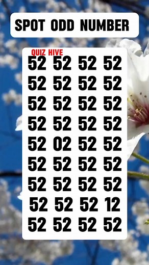 74K views · 3.4K reactions | Challenge from Quiz Hive | Quiz Hive | Facebook