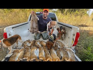 Hunting and Cooking GIANT Swamp Rabbits — Beagles Go Wild