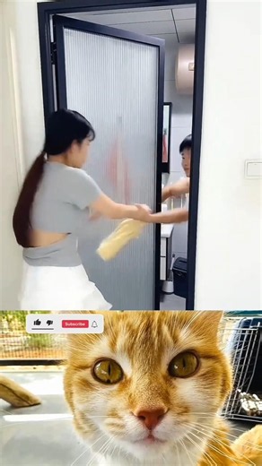 HaHaHa #usashorts #viral #funny shorts 😂🤣