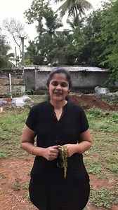 7.5K views · 94 reactions | 3 sets at 3 , with a special bird for company ! WhatsApp 9486084624 to book your set. | Signature Creations | Facebook