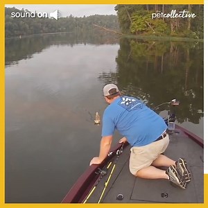 Let's go "catfishing" | Try Not to Laugh