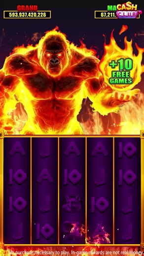 Kristi Kelly on Reels