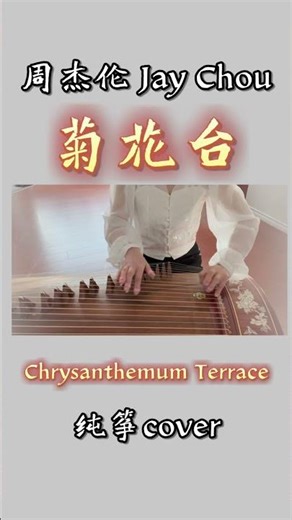 《菊花台/Chrysanthemum Terrace》/周杰伦Jay Chou/古筝cover