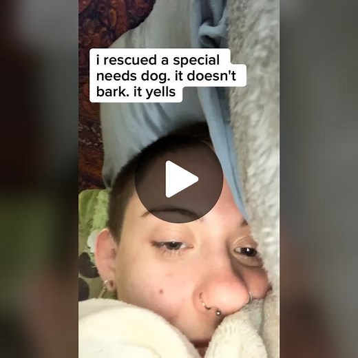 send help | special needs dog