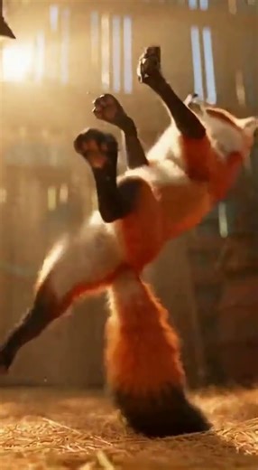 A Cat Attacks a Fox — Then Discovers the Truth #animalbehavior #funny #animalmoments