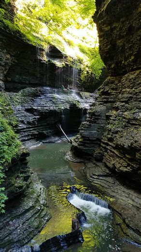 This stunning slice of upstate New York is packed with natural beauty! Location: https://thenatureseeker.com/things-to-do-at-finger-lakes-ny/ Who’s your favorite adventure partner? Mention them here. #fingerlakes #exploreny #hikingadventure #natureisbeautiful | The Nature Seeker