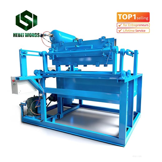 Advanced Egg Tray Machine Production Line Manufacturing and Making Egg Crate and Egg Carton Machine Supplier