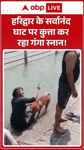 Haridwar Viral Video:हरिद्वार के सर्वानंद घाट पर कुत्ता कर रहा गंगा स्नान! | #trendingshorts