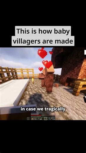 Baby Villagers Have Anger Issues