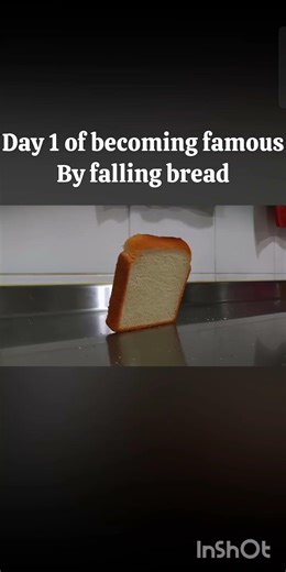 Day 1 of bread falling