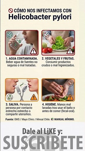 ¿Cómo nos infectamos con Helicobacter pylori? 🚩 Evita estas 4 formas.