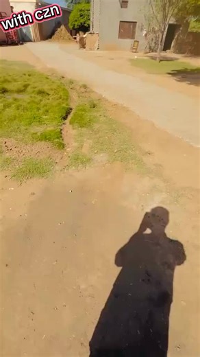 Unfreezing Your Account with CZN Insights