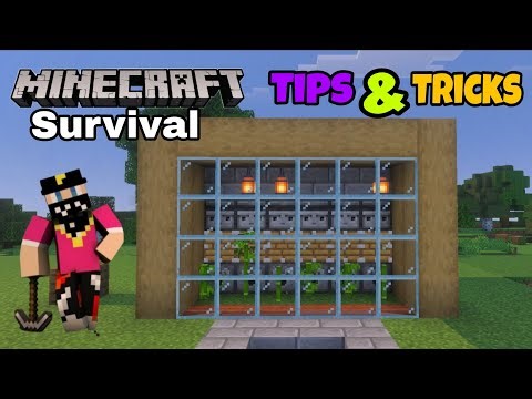 I build very fast bamboo farm 1.21.101 in Minecraft survival